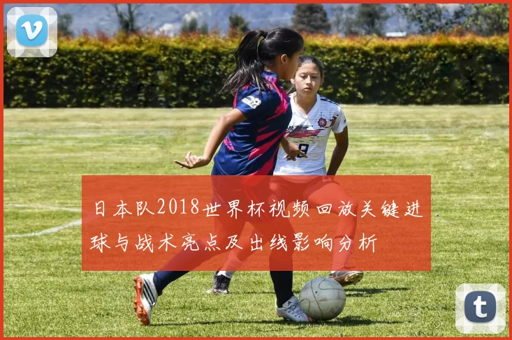 日本队2018世界杯视频回放关键进球与战术亮点及出线影响分析