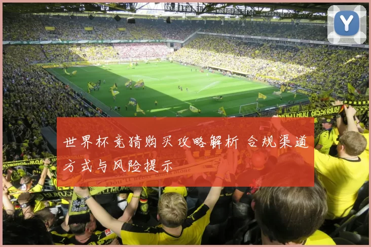 世界杯竞猜购买攻略解析 合规渠道方式与风险提示