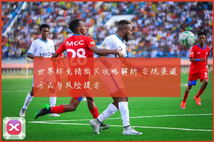 世界杯竞猜购买攻略解析 合规渠道方式与风险提示