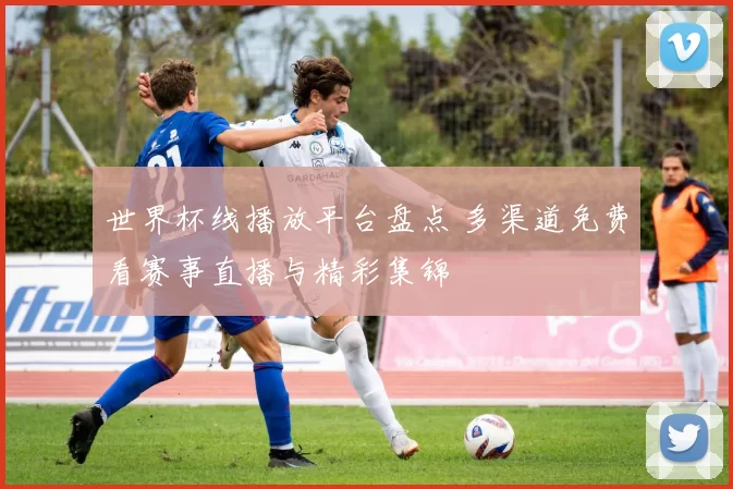 世界杯线播放平台盘点 多渠道免费看赛事直播与精彩集锦